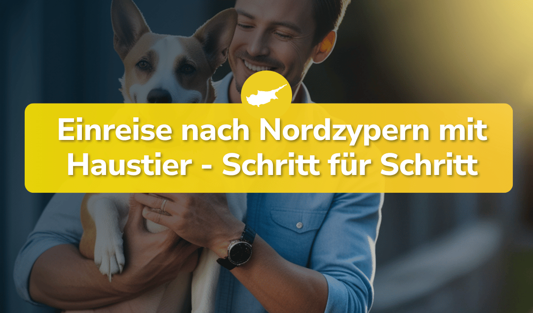 Einreise nach Nordzypern mit Haustier – Schritt für Schritt