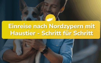 Einreise nach Nordzypern mit Haustier – Schritt für Schritt